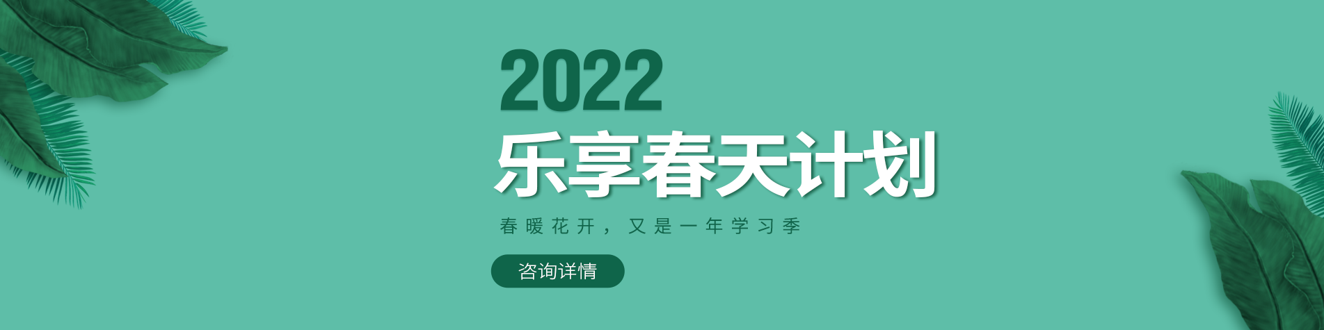 鸡巴操我爽死视频